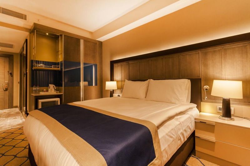Holiday Inn Kayseri 4*