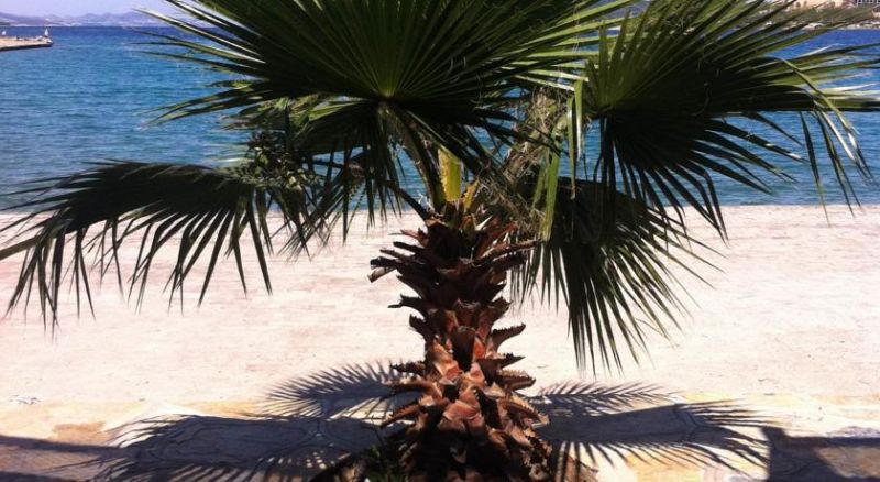 Marvel Beach Hotel 3*