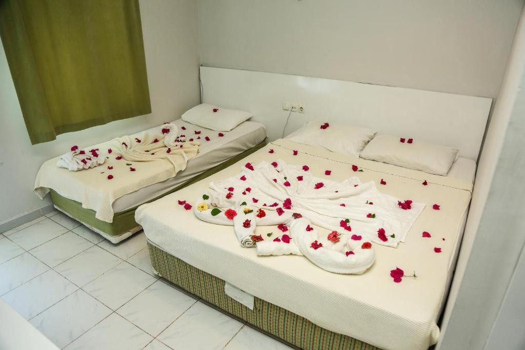 More Hotel 3*