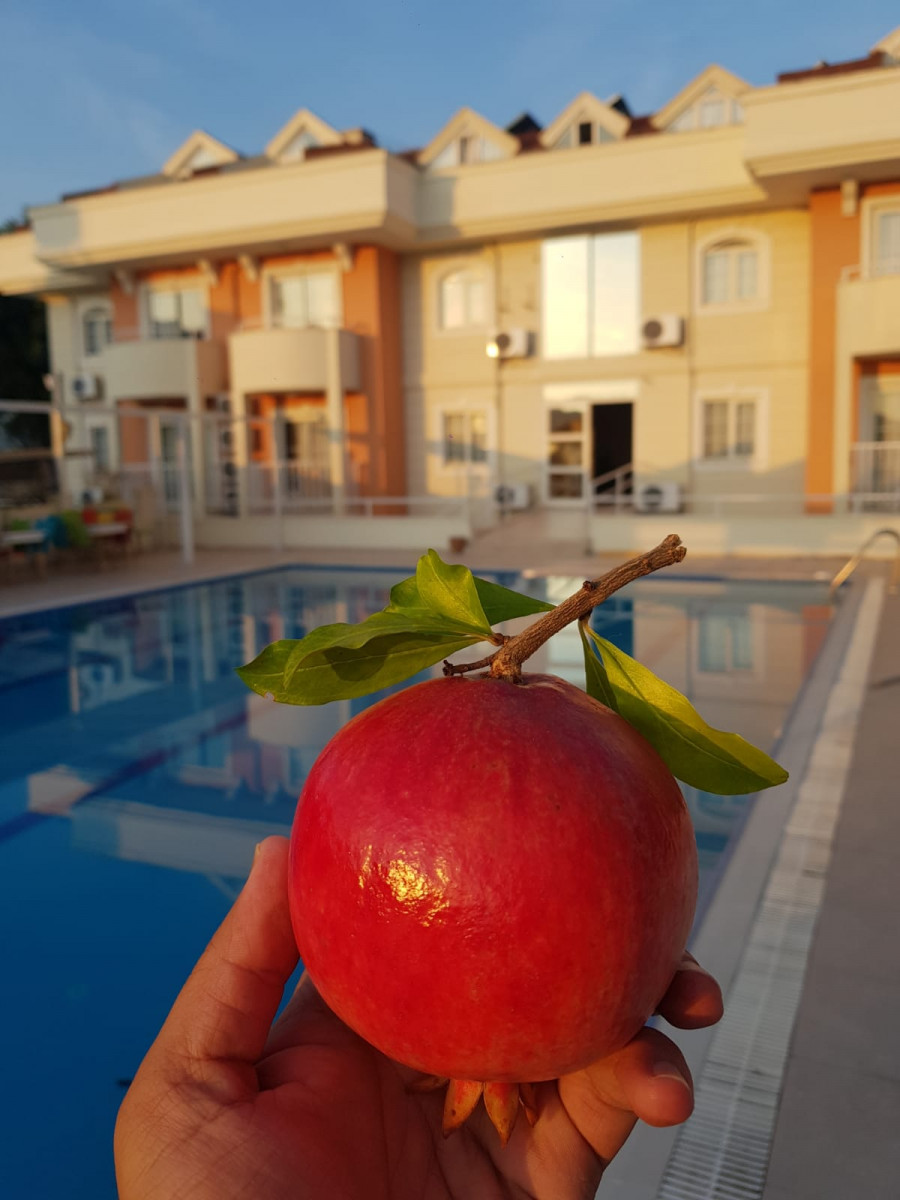 Eramax (Ex. Savrose Suite Hotel) 3*