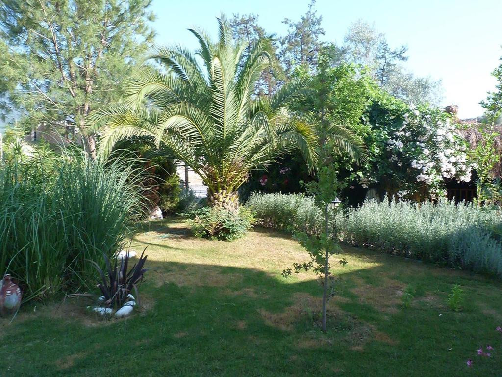 Telmessos Select Adults Only 16+ 4*