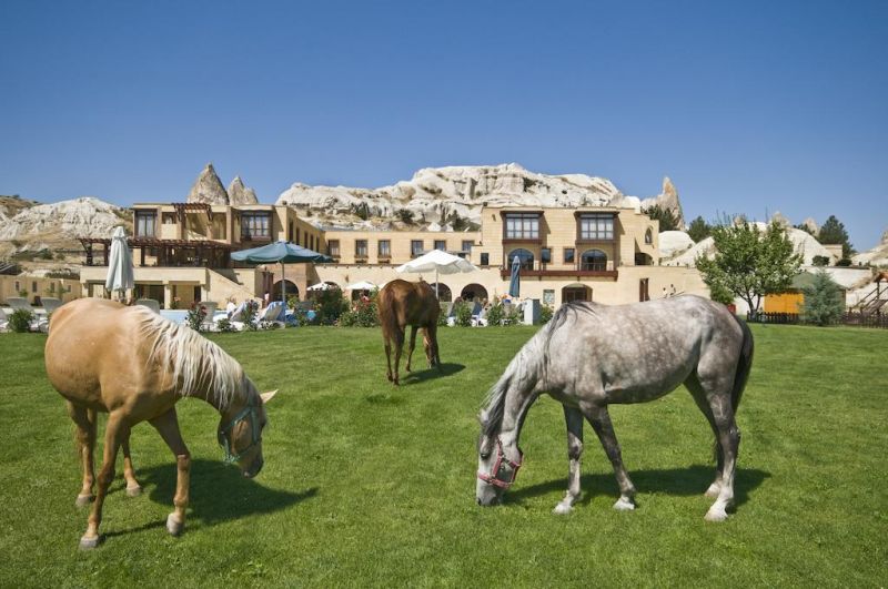Tourist Hotels & Resorts 4*