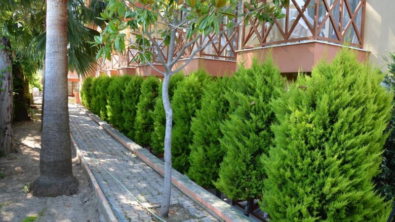 Yavuzhan Hotel 3*