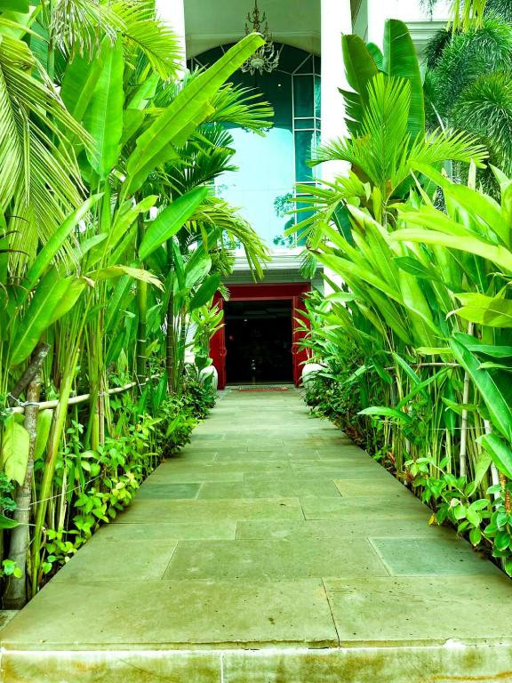Memoire D Angkor 4*