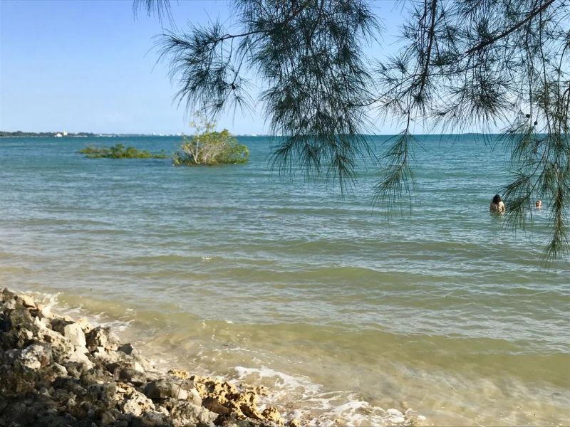 Mangrove Lodge 3*
