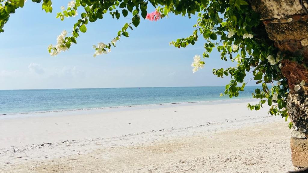 Palumbo Mnemba View 4*