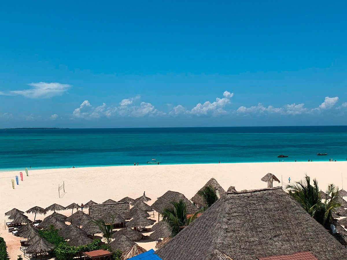 Palumbo Waves 4*