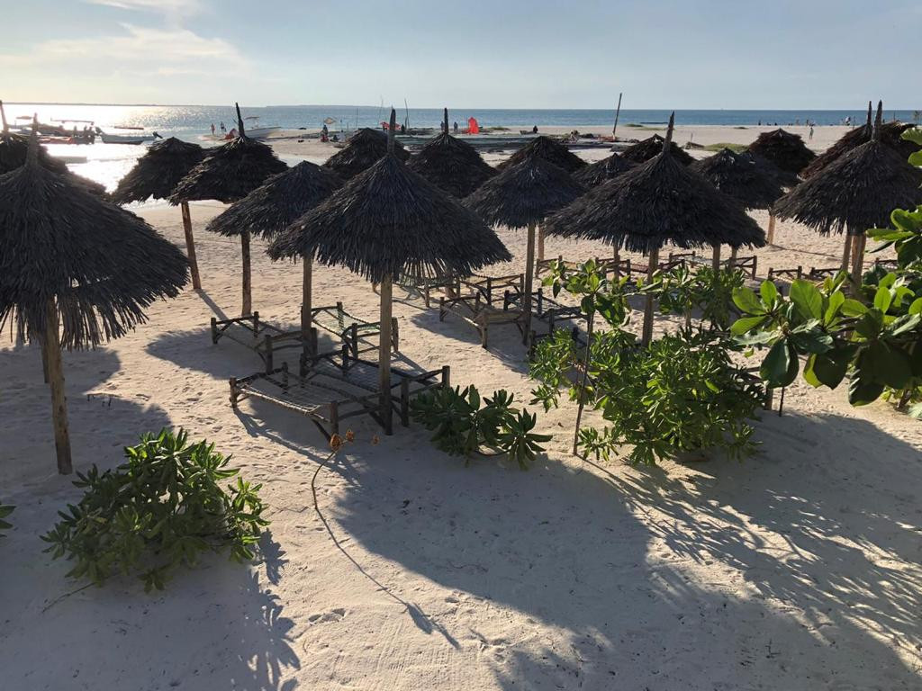 Palumbo Waves 4*