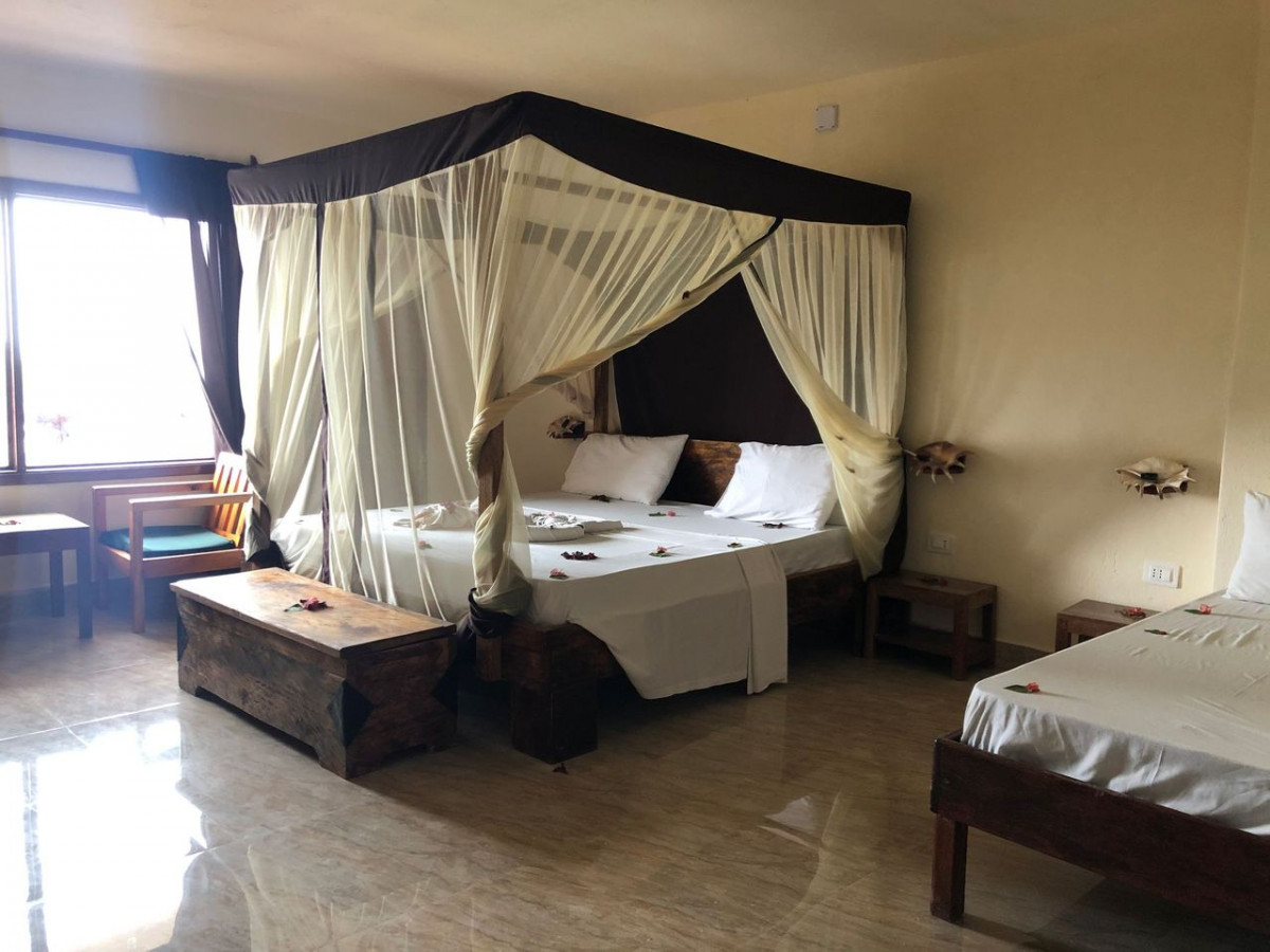 Palumbo Waves 4*