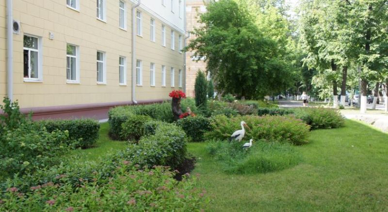 АКРОН 3*