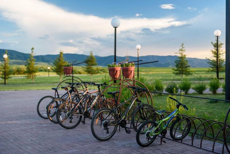 АЛТАЙ Green 4*