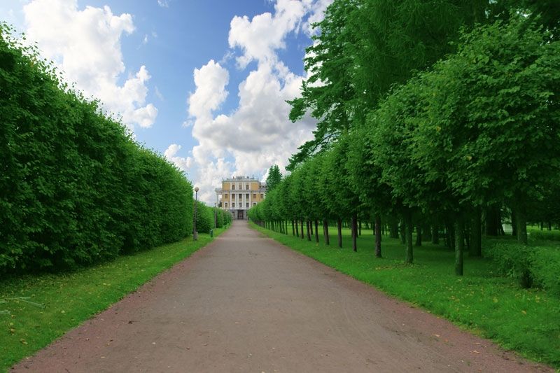 АРХАНГЕЛЬСКОЕ 2*