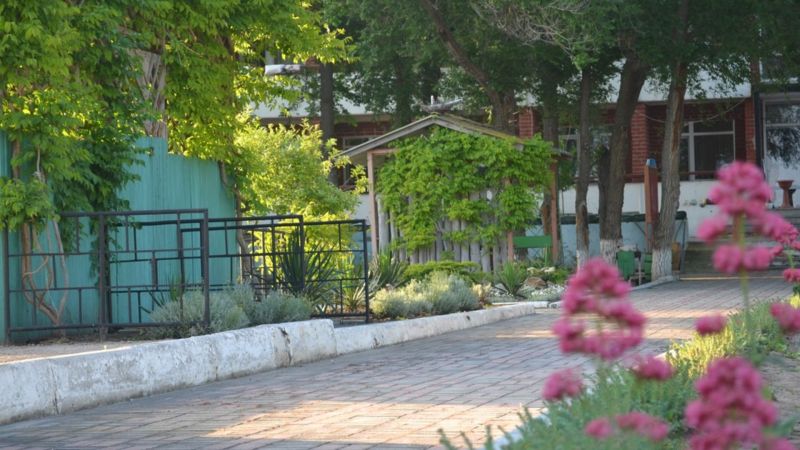 ФЛАМИНГО МЕЖВОДНОЕ 1*