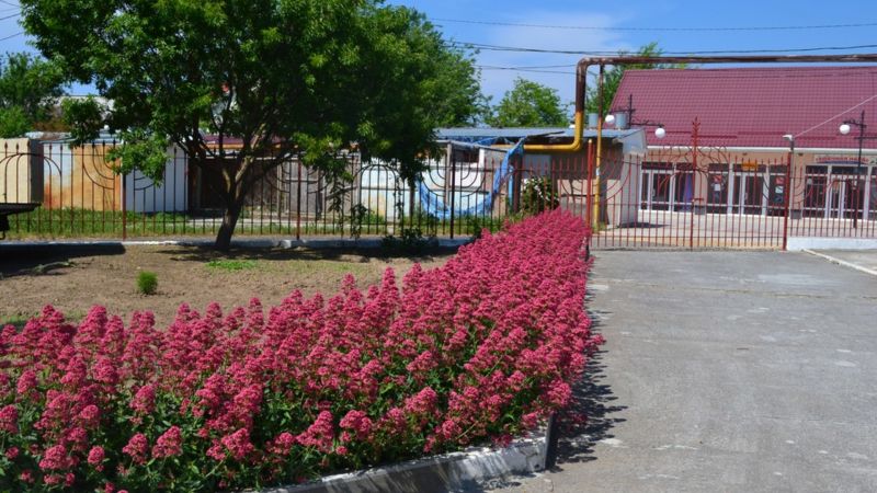ФЛАМИНГО МЕЖВОДНОЕ 1*