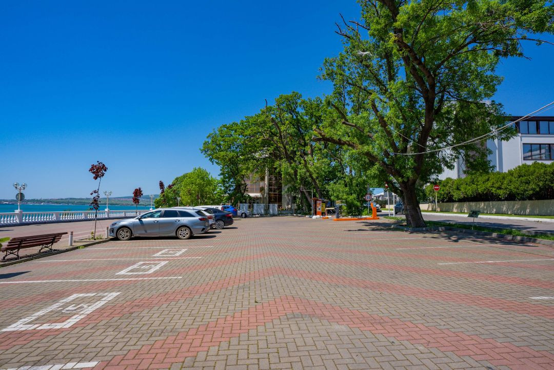КОМПАС МАГНОЛИЯ ГЕЛЕНДЖИК 3*