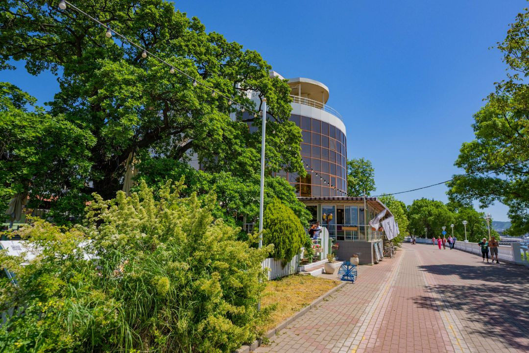 КОМПАС МАГНОЛИЯ ГЕЛЕНДЖИК 3*