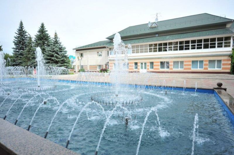 РОМАШКИНО 3*