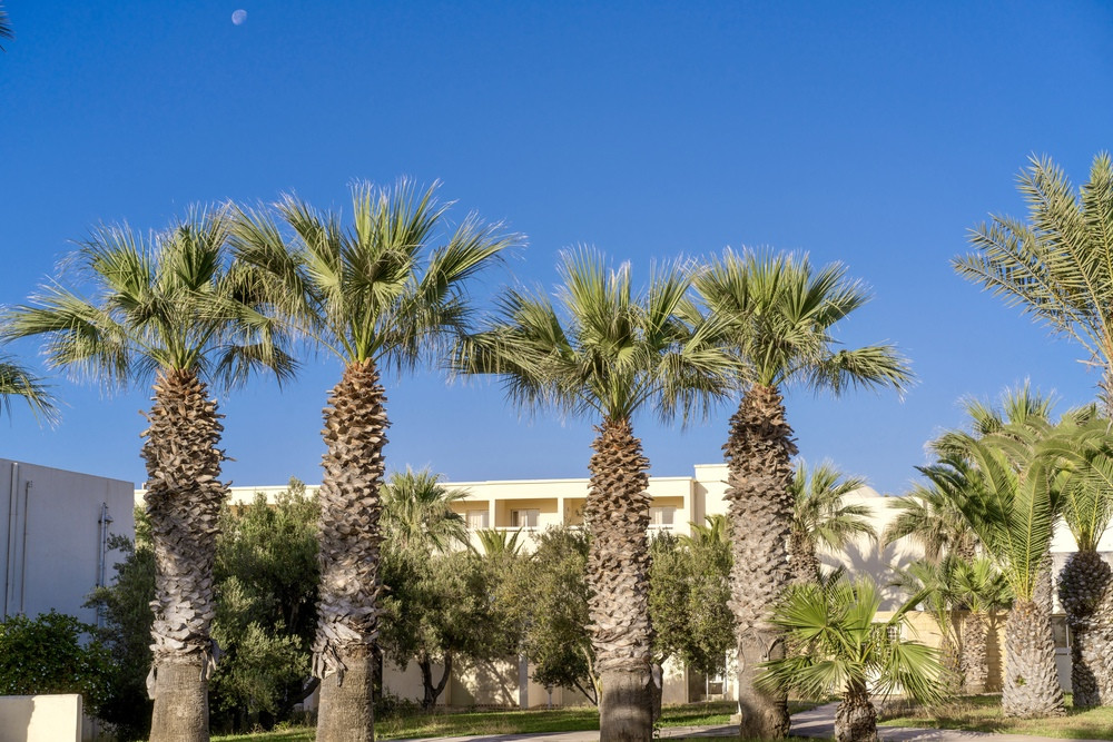Club Novostar Dar Khayam 3*