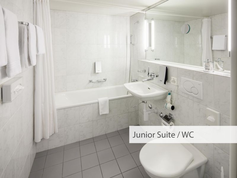 Comfort Hotel Royal Zurich 3*