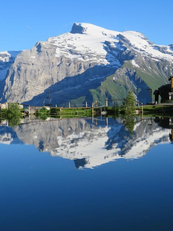 Hotel Central 4*