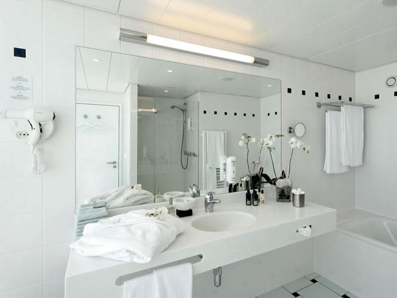 Starling Hotel & Conference Center Geneva 4*