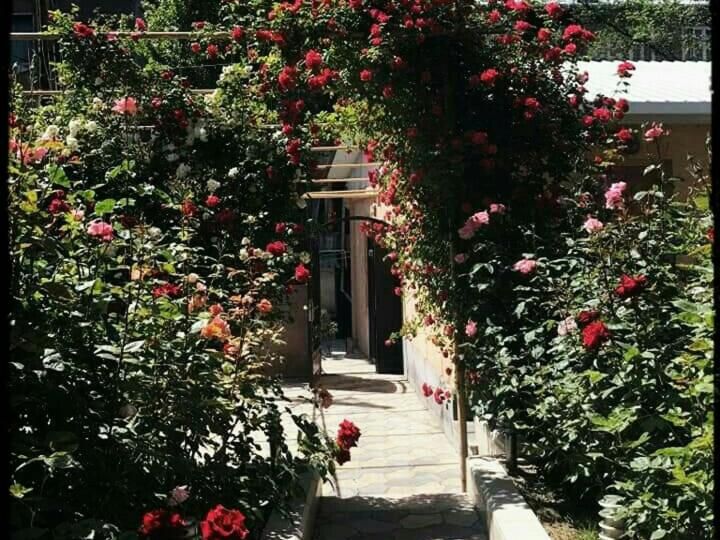Comfort House Hotel 3*
