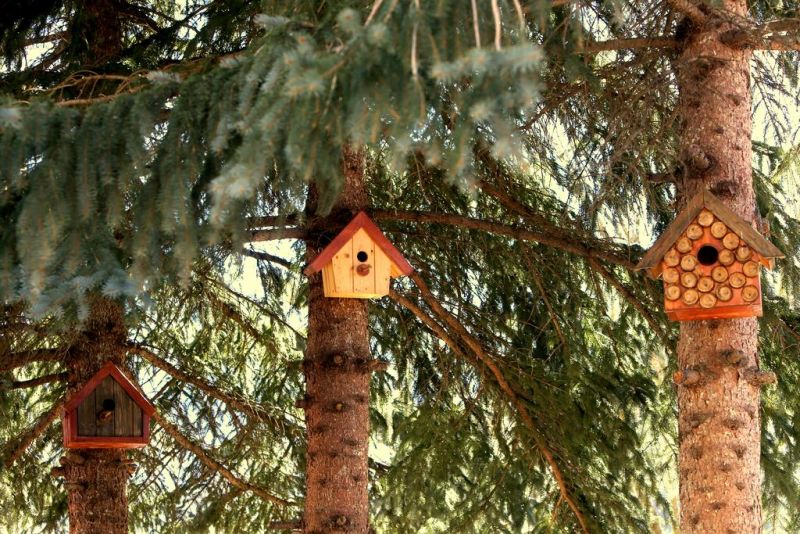 Daravand Guest House 3*