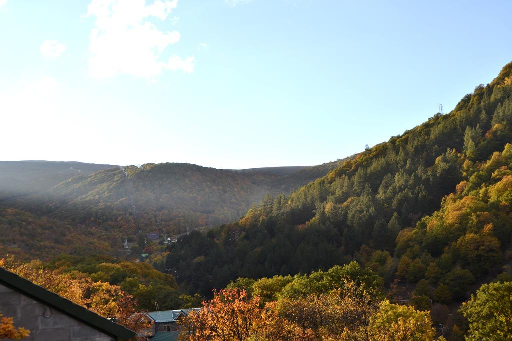 Villadzor Apart 4*