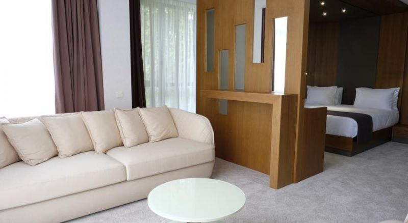 Atlas Abashidze Hotel 4*