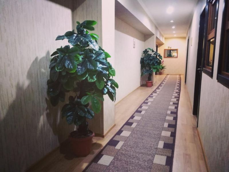 Elegance Hotel 3*
