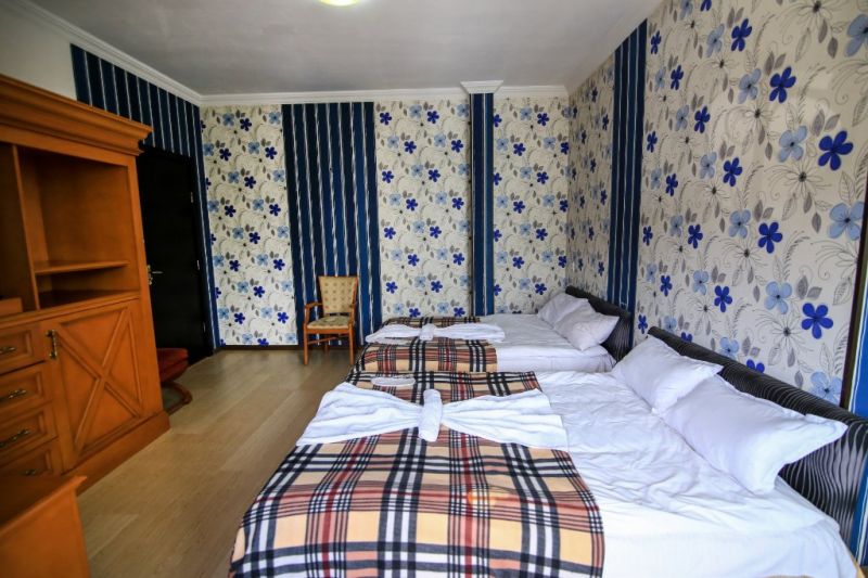 Georgian Palace 3*