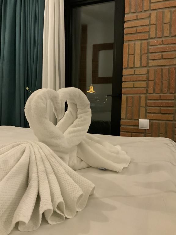 Janashia Hotel 4*