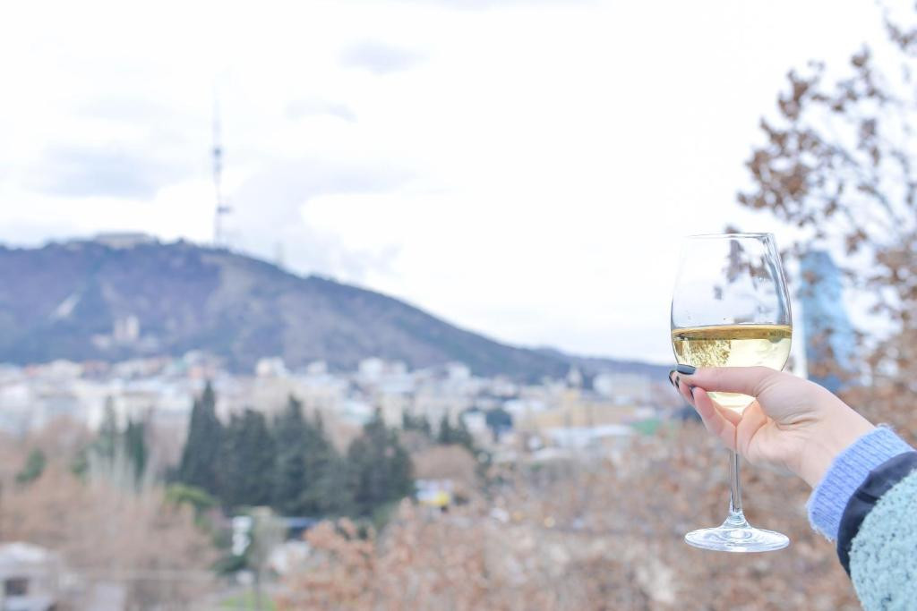 River View Hotel Tbilisi (Ex. Just Inn Tbilisi) 4*