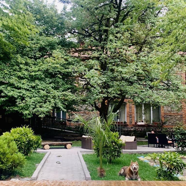 Wald Hotel Lagodekhi 3*