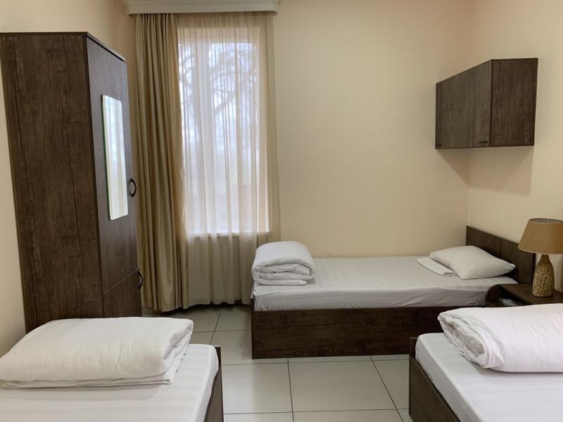 Wald Hotel Lagodekhi 3*
