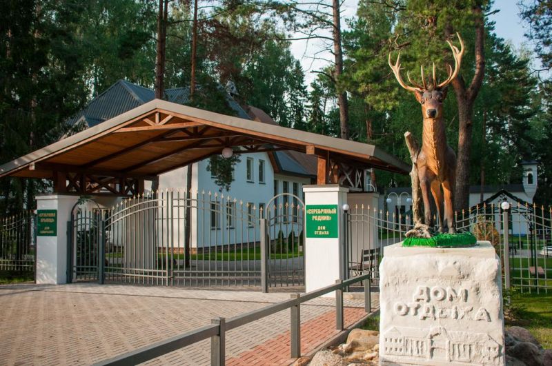 СЕРЕБРЯНЫЙ РОДНИК 2*