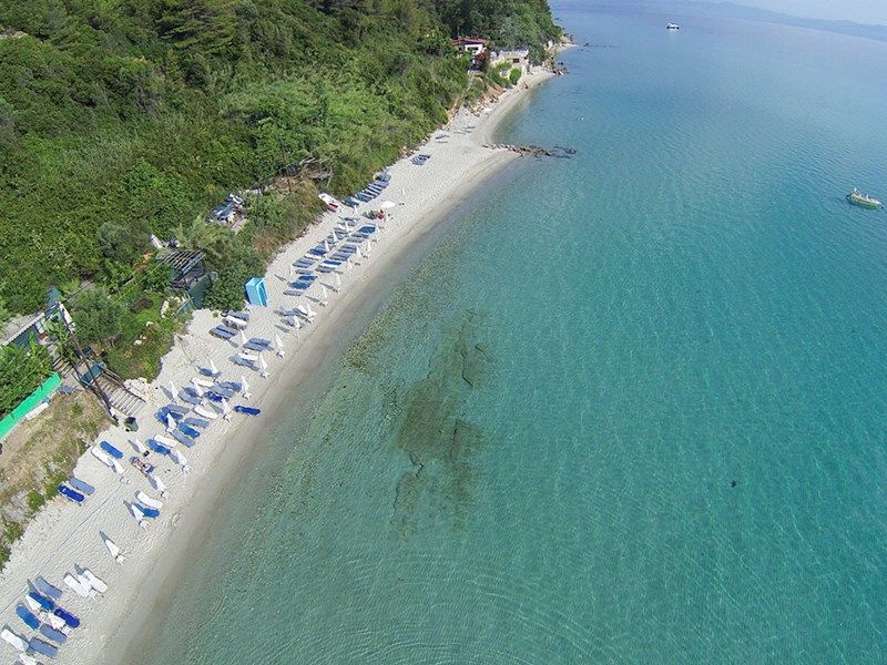 Achtis 4*