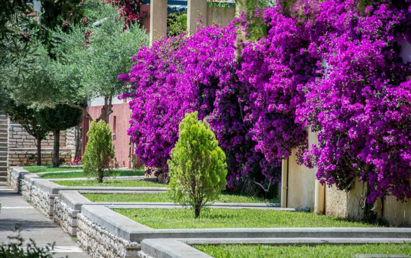 Akti Barbati Apartments 3*