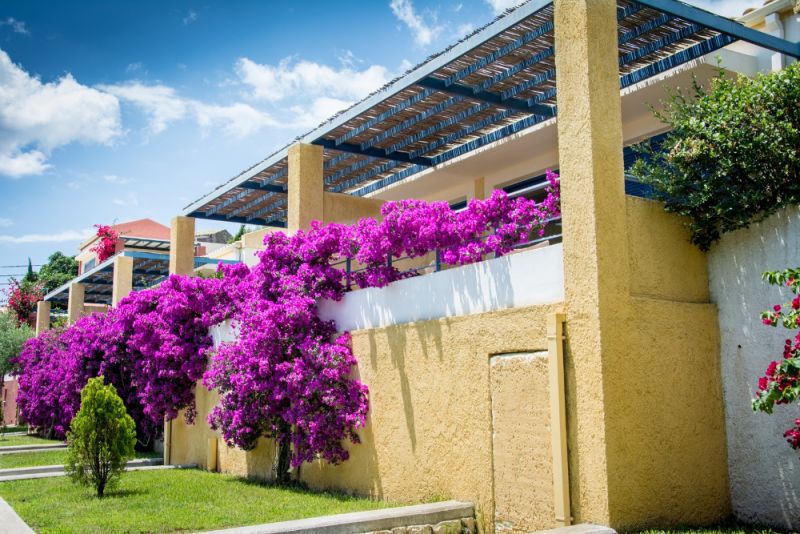 Akti Barbati Apartments 3*