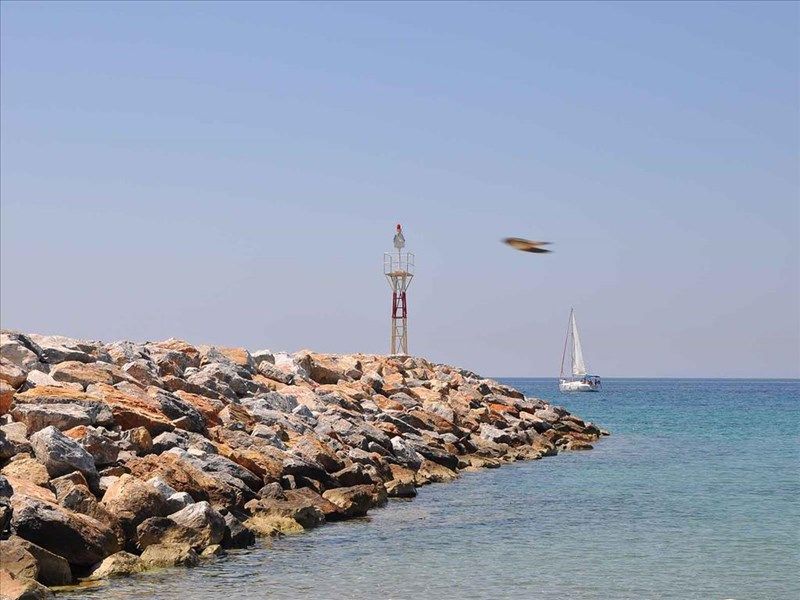 Alexandros Apartments 3*