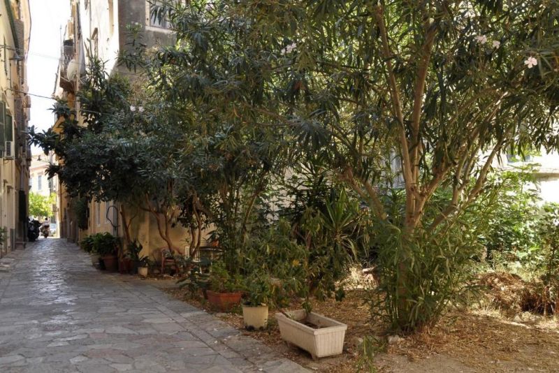 Carpe Diem Luxury Apartment 5*