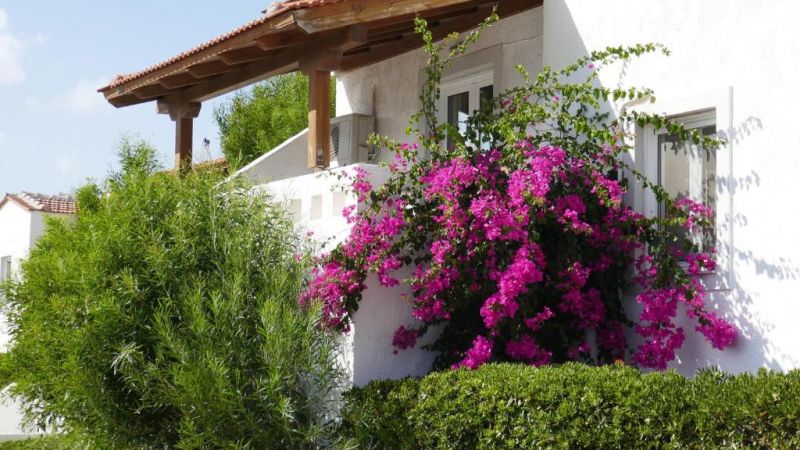 Castri Village Hotel 3*