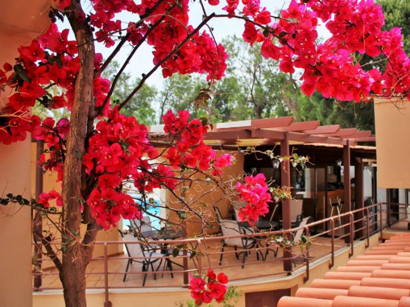 Dioni Hotel 3*