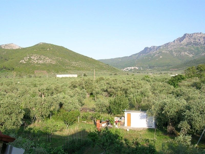 Filippos Thassos 3*