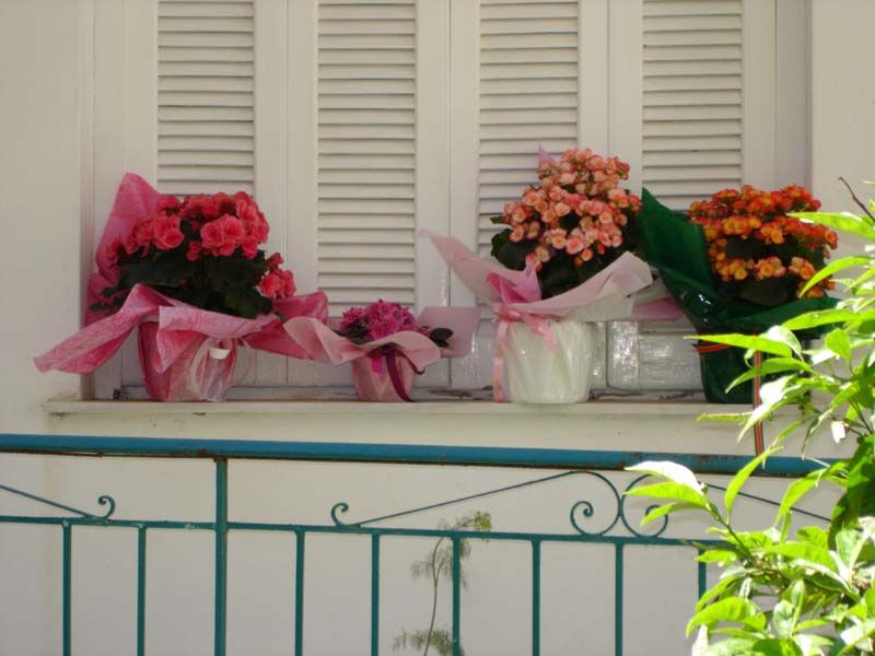 Irini Apartments Benitses 2*