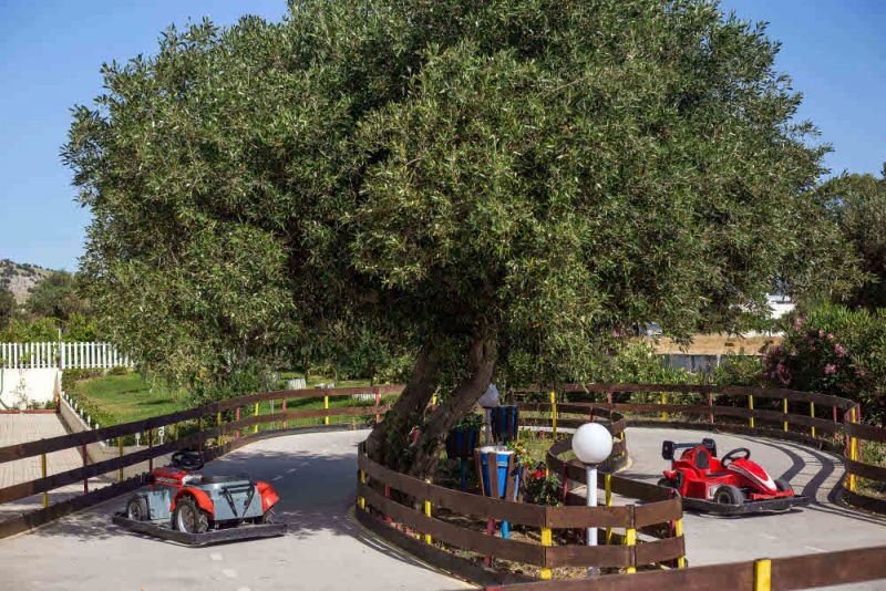 Niriides Hotel 4*