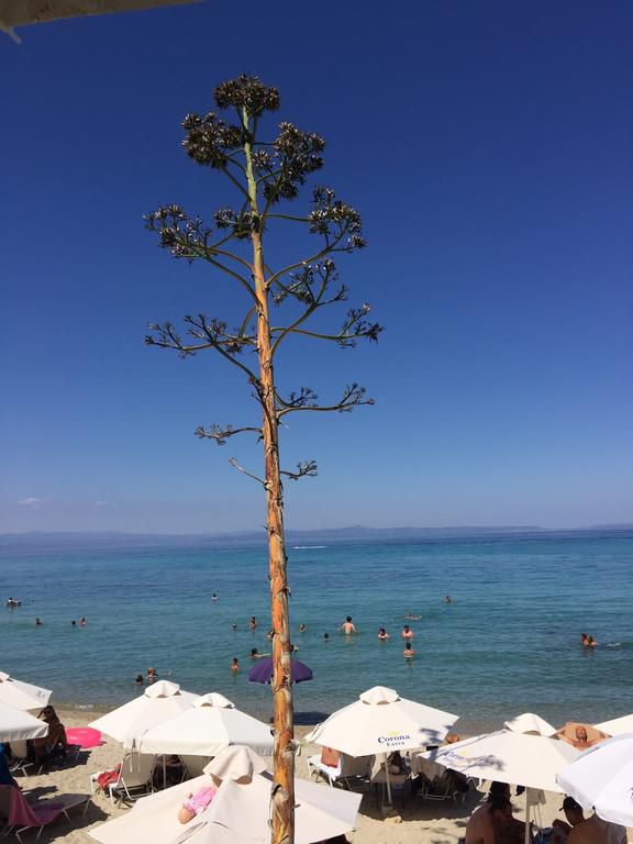 Pleiades Boutique Villas 5*
