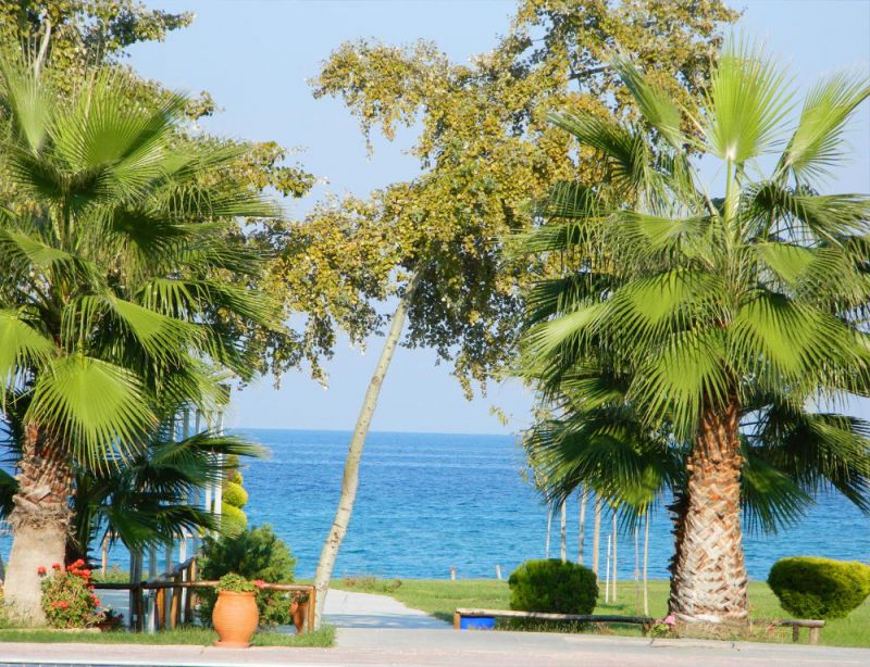Sun Beach Platamonas 3*