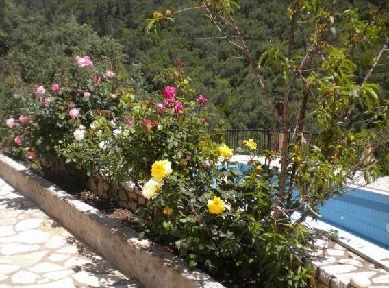 Villa Nestoras 3*