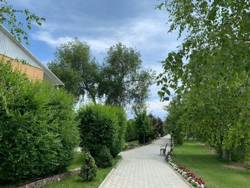 ИЛБИРС СААДАТ 2*